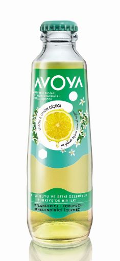 AVOYA MEYVELI LIMON 200ML resmi