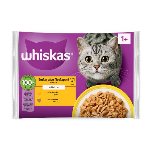 WHİSKAS KÜMES HAYVANLARI ZİYAFE 4X85G*13 resmi